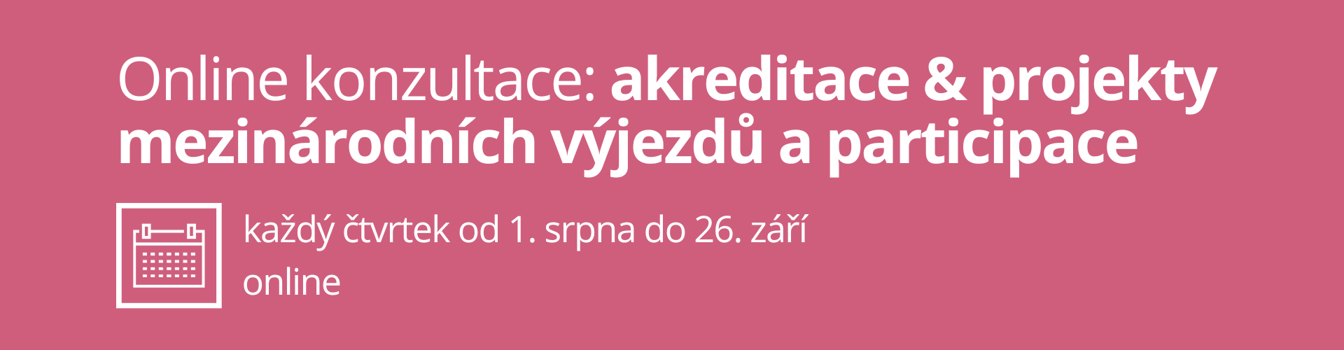 Individuální online konzultace Erasmus+ mládež