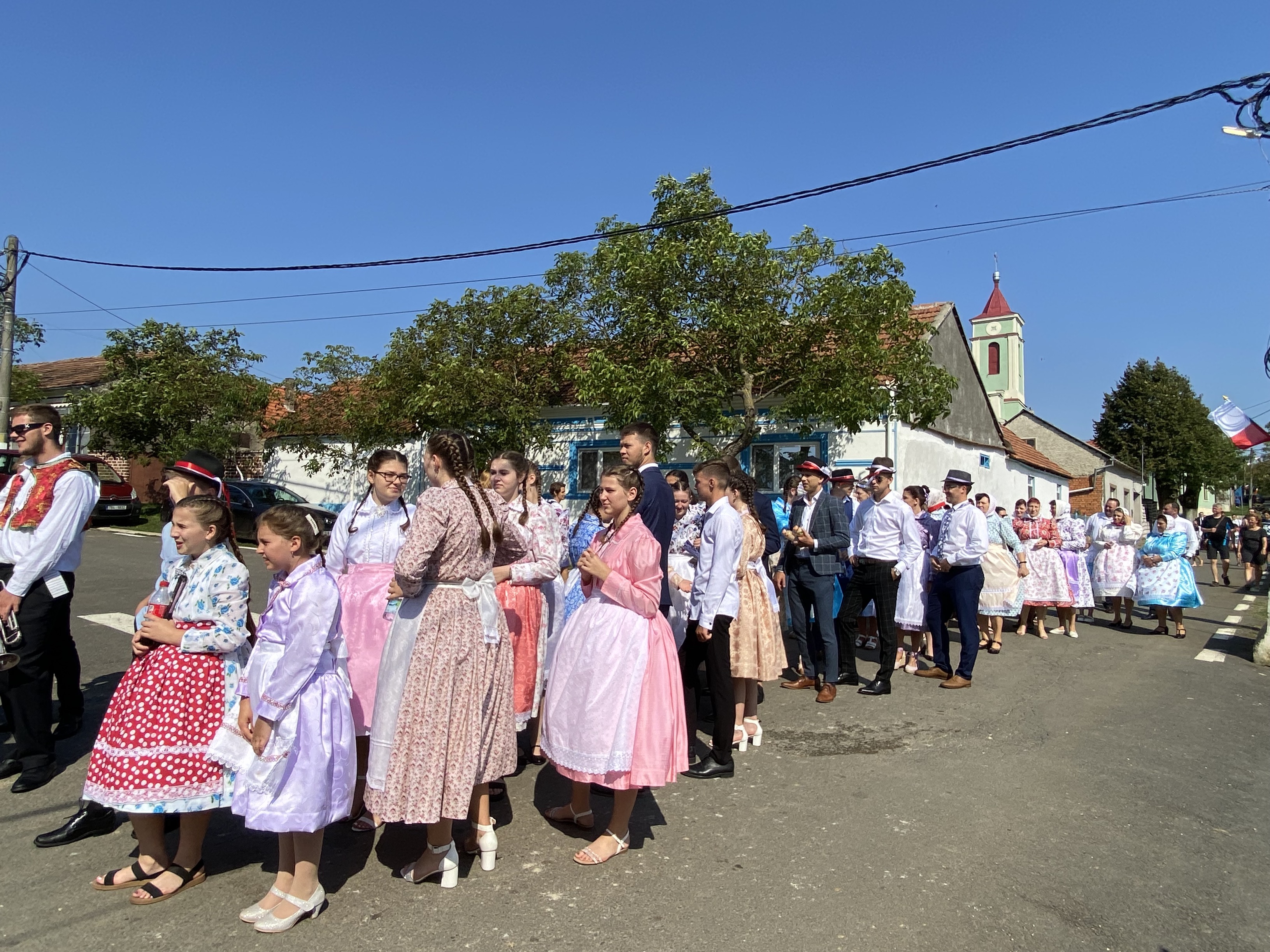 Náhled na web
