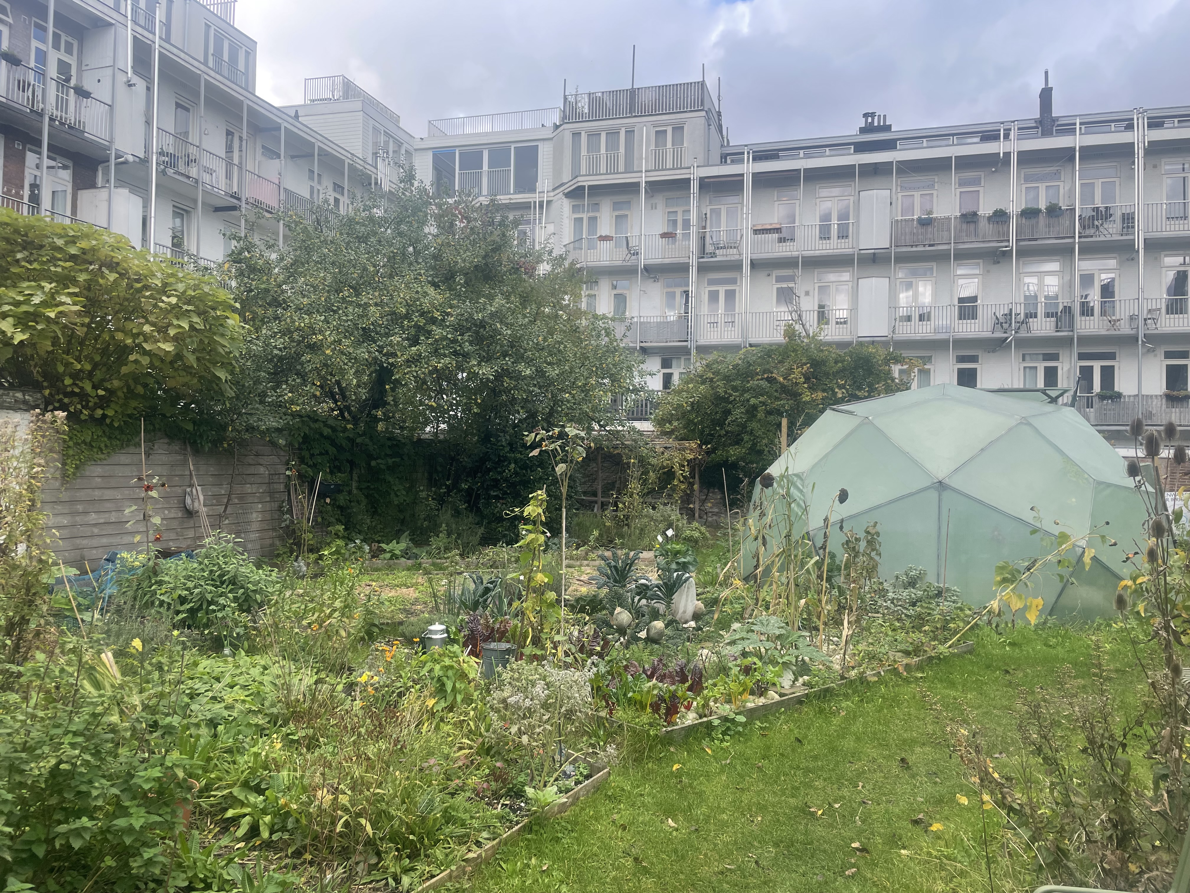 Obnovený komunitní zahradní vnitroblok organizace I can change the wordl with my two hands v Amtsterdamu