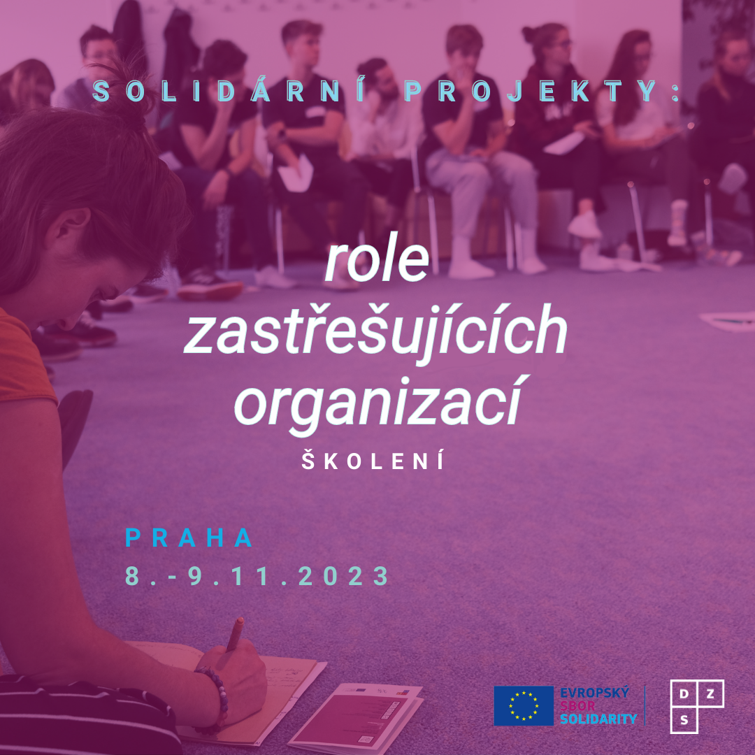 Solidání projekty - role zastřešujících organizací