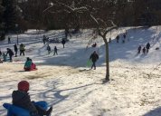 Türkenschanzpark