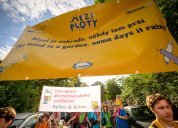 DZS na festivalu Mezi ploty 2025. Foto: Petr Zewlakk Vrabec/DZS