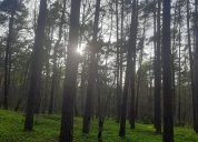 Kampiński Park Narodowy. Foto K. Kawuloková