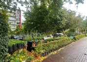 Komunitní zahrady, kompost i popínavky: Bieno si z programu Erasmus+ přivezlo inspiraci z Amsterdamu