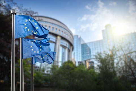 vlajky EU a Evropský parlament v pozadí