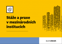 Stáže a praxe v mezinárodních institucích